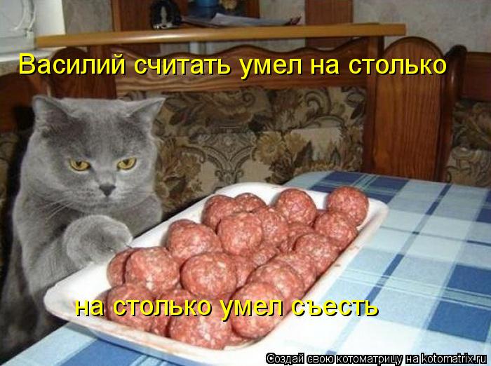 Котоматрица: Василий считать умел на столько на столько умел съесть