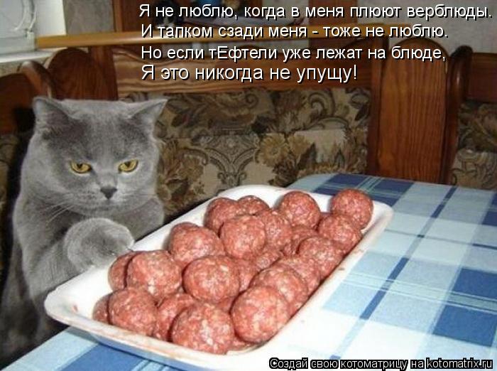 Котоматрица: Я не люблю, когда в меня плюют верблюды. И тапком сзади меня - тоже не люблю. Но если тЕфтели уже лежат на блюде, Я это никогда не упущу!