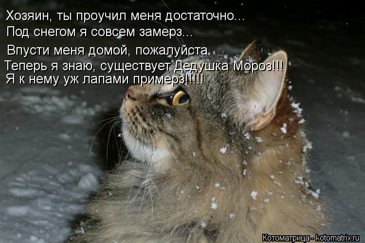 Хозяин, ты проучил меня достаточно... Под снегом я совсем замерз... Впусти меня домой, пожалуйста. Те... Котоматрица: Хозяин, ты проучил меня достаточно... Под снегом я совсем замерз... Впусти меня домой, пожалуйста. Теперь я знаю, существует Дедушка Мороз!!! Я