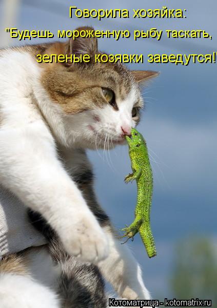 Говорила хозяйка: "Будешь мороженную рыбу таскать, зеленые козявки заведутся!"... Котоматрица: Говорила хозяйка: "Будешь мороженную рыбу таскать, зеленые козявки заведутся!"
