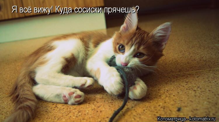 Я всё вижу! Куда сосиски прячешь?... Котоматрица: Я всё вижу! Куда сосиски прячешь?