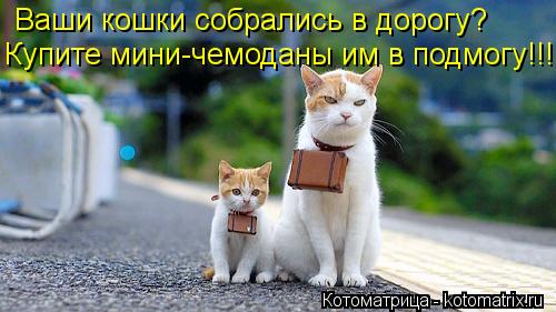 Ваши кошки собрались в дорогу? Купите мини-чемоданы им в подмогу!!!... Котоматрица: Ваши кошки собрались в дорогу? Купите мини-чемоданы им в подмогу!!!