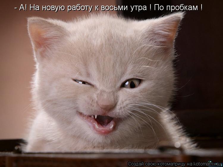 - А! На новую работу к восьми утра ! По пробкам !... Котоматрица: - А! На новую работу к восьми утра ! По пробкам !