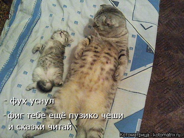 Котоматрица: и сказки читай фиг тебе ещё пузико чеши - фух уснул -