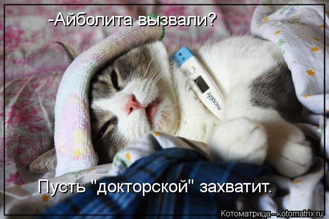 -Айболита вызвали? Пусть "докторской" захватит.... Котоматрица: -Айболита вызвали? Пусть "докторской" захватит.