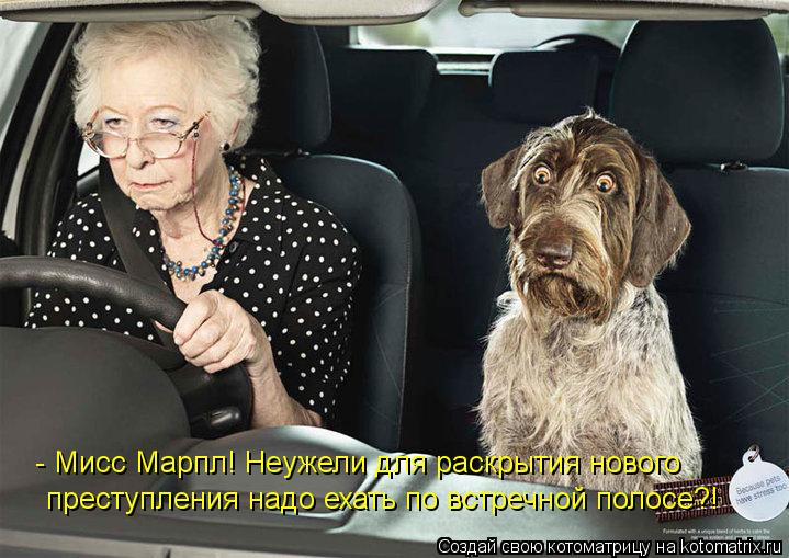 преступления надо ехать по встречной полосе?! - Мисс Марпл! Неужели для раскрытия нового... Котоматрица: преступления надо ехать по встречной полосе?! - Мисс Марпл! Неужели для раскрытия нового