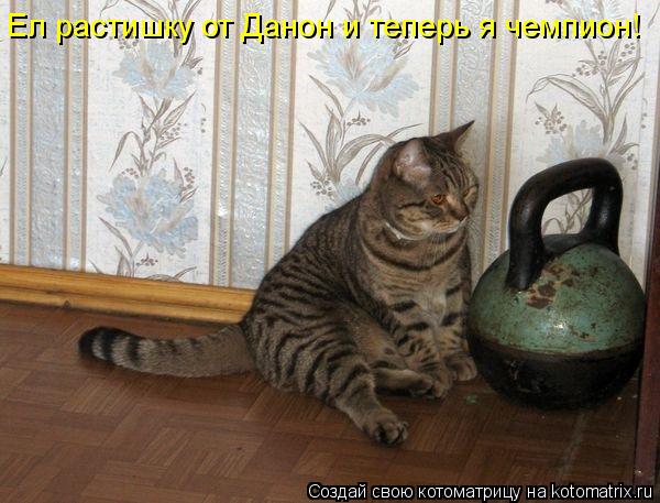 Ел растишку от Данон и теперь я чемпион!... Котоматрица: Ел растишку от Данон и теперь я чемпион!