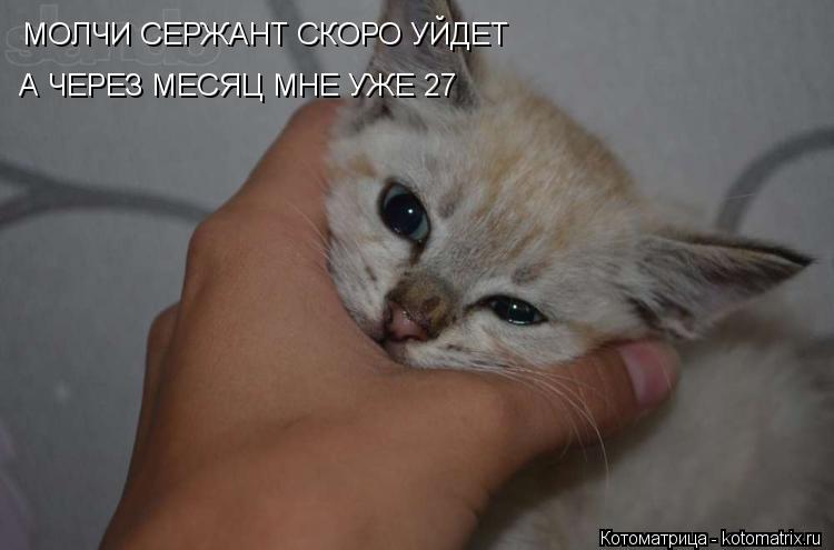МОЛЧИ СЕРЖАНТ СКОРО УЙДЕТ А ЧЕРЕЗ МЕСЯЦ МНЕ УЖЕ 27... Котоматрица: МОЛЧИ СЕРЖАНТ СКОРО УЙДЕТ А ЧЕРЕЗ МЕСЯЦ МНЕ УЖЕ 27