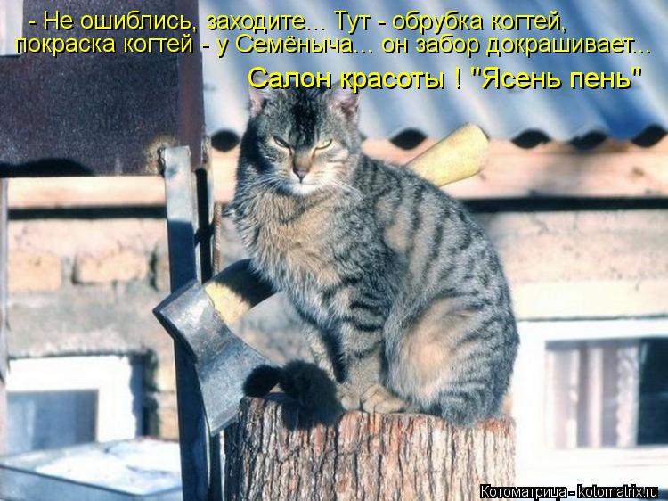 - Не ошиблись, заходите... Тут - обрубка когтей, покраска когтей - у Семёныча... он забор докрашивает... Котоматрица: - Не ошиблись, заходите... Тут - обрубка когтей, покраска когтей - у Семёныча... он забор докрашивает... Салон красоты ! "Ясень пень"