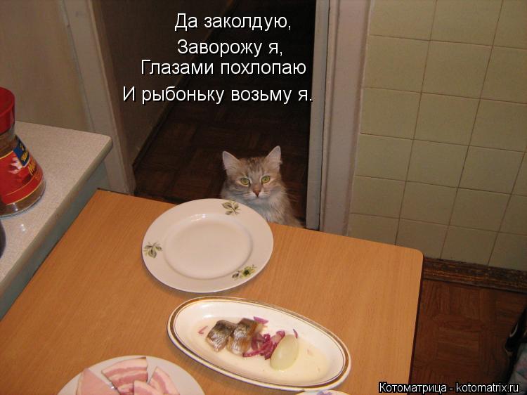Да заколдую, Заворожу я, Глазами похлопаю И рыбоньку возьму я.... Котоматрица: Да заколдую, Заворожу я, Глазами похлопаю И рыбоньку возьму я.