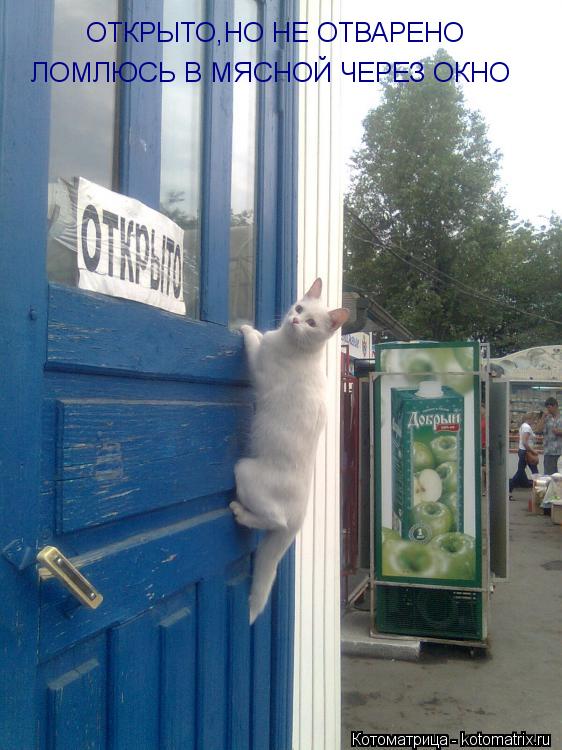 Котоматрица: ОТКРЫТО,НО НЕ ОТВАРЕНО ЛОМЛЮСЬ В МЯСНОЙ ЧЕРЕЗ ОКНО