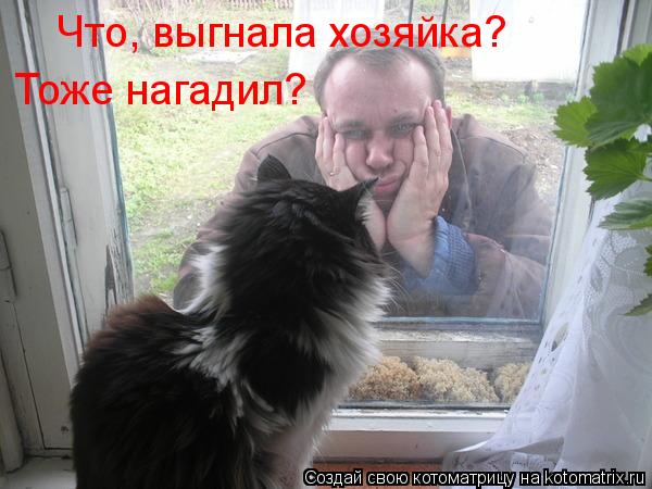 Что, выгнала хозяйка? Тоже нагадил?... Котоматрица: Что, выгнала хозяйка? Тоже нагадил?