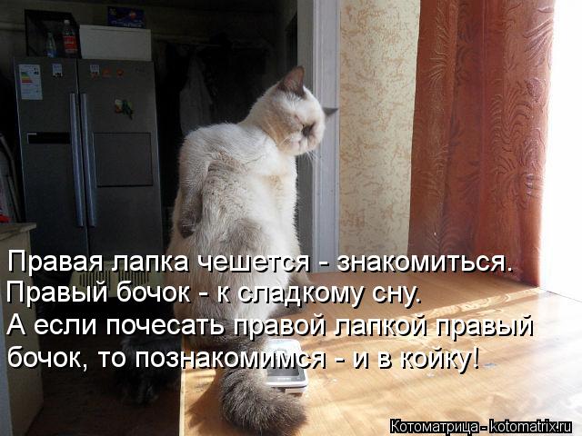 Эти забавные животные