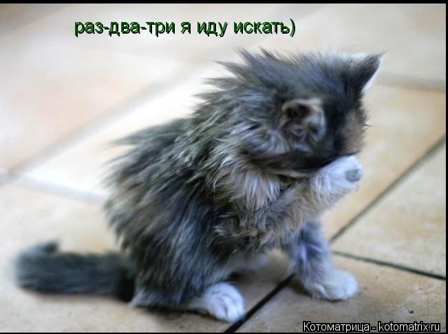 раз-два-три я иду искать)... Котоматрица: раз-два-три я иду искать)