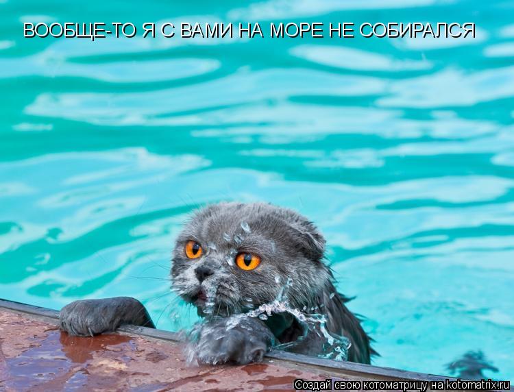 ВООБЩЕ-ТО Я С ВАМИ НА МОРЕ НЕ СОБИРАЛСЯ... Котоматрица: ВООБЩЕ-ТО Я С ВАМИ НА МОРЕ НЕ СОБИРАЛСЯ