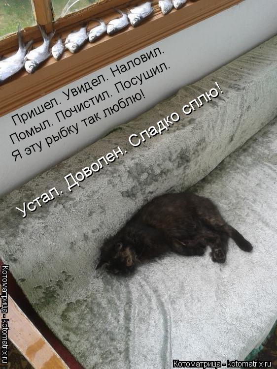 Пришел. Увидел. Наловил. Пришел. Увидел. Наловил. Помыл. Почистил. Посушил. Устал. Доволен. Сладко сп... Котоматрица: Пришел. Увидел. Наловил. Пришел. Увидел. Наловил. Помыл. Почистил. Посушил. Устал. Доволен. Сладко сплю! Я эту рыбку так люблю!