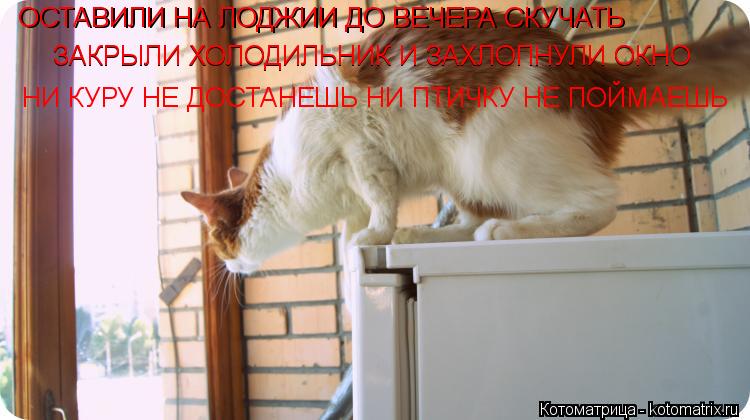 ОСТАВИЛИ НА ЛОДЖИИ ДО ВЕЧЕРА СКУЧАТЬ ОСТАВИЛИ НА ЛОДЖИИ ДО ВЕЧЕРА СКУЧАТЬ ЗАКРЫЛИ ХОЛОДИЛЬНИК И ЗАХЛО... Котоматрица: ОСТАВИЛИ НА ЛОДЖИИ ДО ВЕЧЕРА СКУЧАТЬ ОСТАВИЛИ НА ЛОДЖИИ ДО ВЕЧЕРА СКУЧАТЬ ЗАКРЫЛИ ХОЛОДИЛЬНИК И ЗАХЛОПНУЛИ ОКНО ЗАКРЫЛИ ХОЛОДИЛЬНИК И ЗАХ