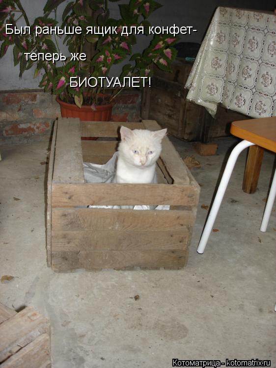 Был раньше ящик для конфет- теперь же БИОТУАЛЕТ!... Котоматрица: Был раньше ящик для конфет- теперь же БИОТУАЛЕТ!