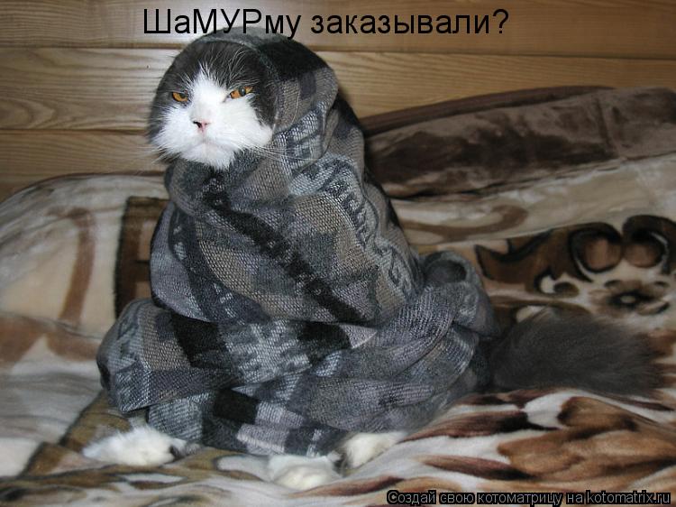ШаМУРму заказывали?... Котоматрица: ШаМУРму заказывали?