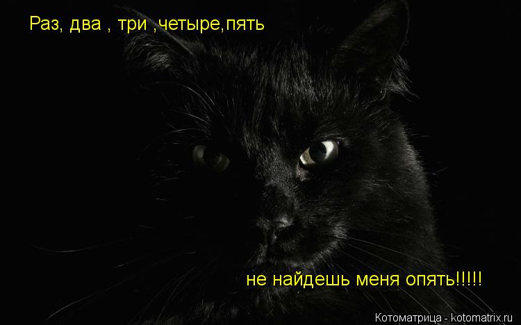 Раз, два , три ,четыре,пять не найдешь меня опять!!!!!... Котоматрица: Раз, два , три ,четыре,пять не найдешь меня опять!!!!!