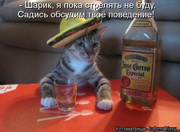 - Шарик, я пока стрелять не буду. Садись обсудим твоё поведение!... Котоматрица: - Шарик, я пока стрелять не буду. Садись обсудим твоё поведение!