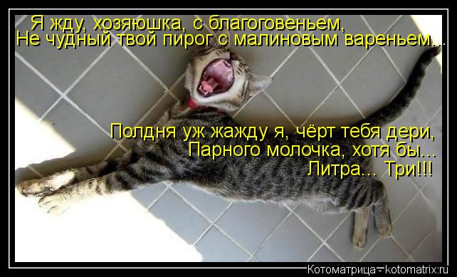Я жду, хозяюшка, с благоговеньем, Не чудный твой пирог с малиновым вареньем... Полдня уж жажду я, чё... Котоматрица: Я жду, хозяюшка, с благоговеньем, Не чудный твой пирог с малиновым вареньем... Полдня уж жажду я, чёрт тебя дери, Парного молочка, хотя бы... Ли