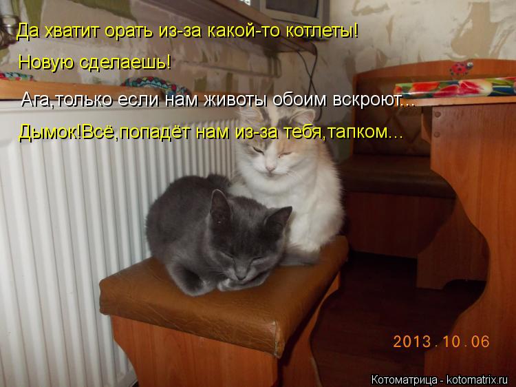Да хватит орать из-за какой-то котлеты! Ага,только если нам животы обоим вскроют... Дымок!Всё,попадёт... Котоматрица: Да хватит орать из-за какой-то котлеты! Ага,только если нам животы обоим вскроют... Дымок!Всё,попадёт нам из-за тебя,тапком... Новую сделаешь!