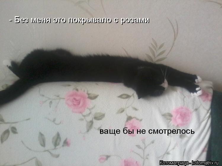 ваще бы не смотрелось - Без меня это покрывало с розами... Котоматрица: ваще бы не смотрелось - Без меня это покрывало с розами