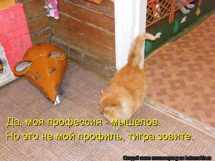 Да, моя профессия - мышелов. Но это не мой профиль, тигра зовите.... Котоматрица: Да, моя профессия - мышелов. Но это не мой профиль, тигра зовите.