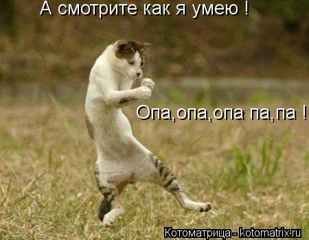 А смотрите как я умею ! Опа,опа,опа па,па !... Котоматрица: А смотрите как я умею ! Опа,опа,опа па,па !