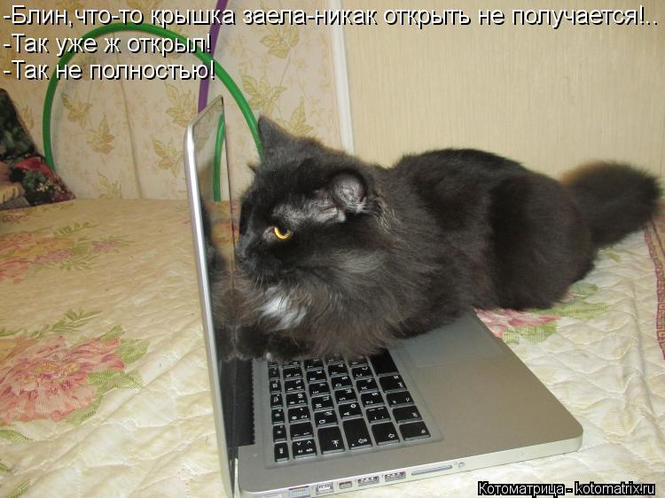 -Блин,что-то крышка заела-никак открыть не получается!.. -Так уже ж открыл! -Так не полностью!... Котоматрица: -Блин,что-то крышка заела-никак открыть не получается!.. -Так уже ж открыл! -Так не полностью!
