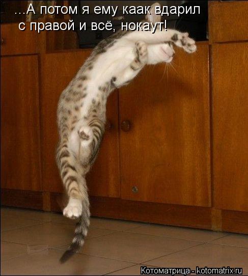 ...А потом я ему каак вдарил с правой и всё, нокаут!... Котоматрица: ...А потом я ему каак вдарил с правой и всё, нокаут!