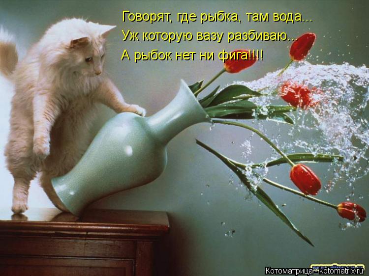 Котоматрица: Говорят, где рыбка, там вода... Уж которую вазу разбиваю... А рыбок нет ни фига!!!!