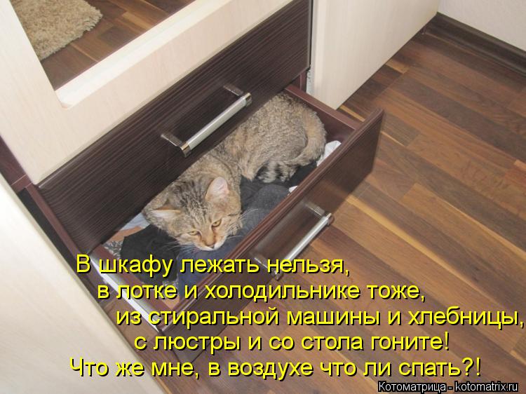 В шкафу лежать нельзя, в лотке и холодильнике тоже, из стиральной машины и хлебницы, с люстры и со ст... Котоматрица: В шкафу лежать нельзя, в лотке и холодильнике тоже, из стиральной машины и хлебницы, с люстры и со стола гоните! Что же мне, в воздухе что ли с