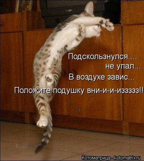 Подскользнулся.... не упал... В воздухе завис... Положите подушку вни-и-и-иззззз!!!... Котоматрица: Подскользнулся.... не упал... В воздухе завис... Положите подушку вни-и-и-иззззз!!!