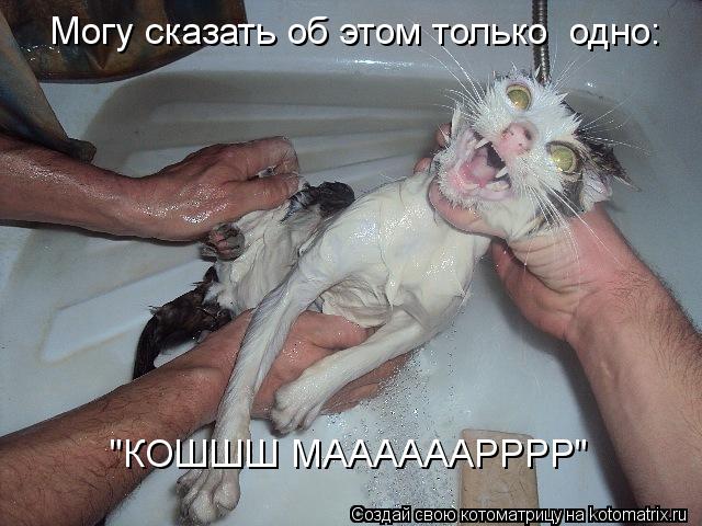 "КОШШШ МААААААРРРР" Могу сказать об этом только одно:... Котоматрица: "КОШШШ МААААААРРРР" Могу сказать об этом только одно: