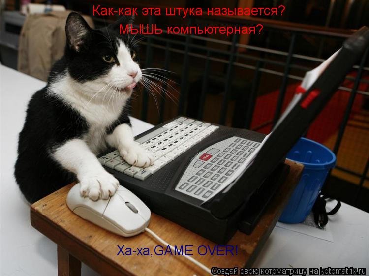 Как-как эта штука называется? МЫШЬ компьютерная? Ха-ха,GAME OVER!... Котоматрица: Как-как эта штука называется? МЫШЬ компьютерная? Ха-ха,GAME OVER!