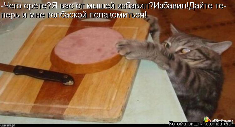 -Чего орёте?Я вас от мышей избавил?Избавил!Дайте те- перь и мне колбаской полакомиться!... Котоматрица: -Чего орёте?Я вас от мышей избавил?Избавил!Дайте те- перь и мне колбаской полакомиться!