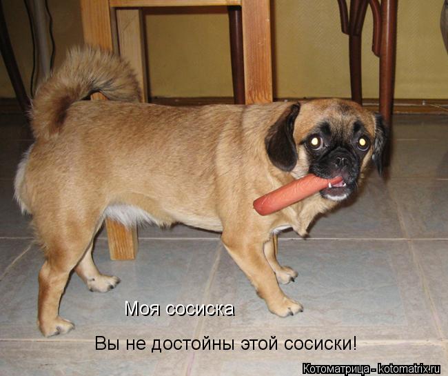 Моя сосиска Вы не достойны этой сосиски!... Котоматрица: Моя сосиска Вы не достойны этой сосиски!