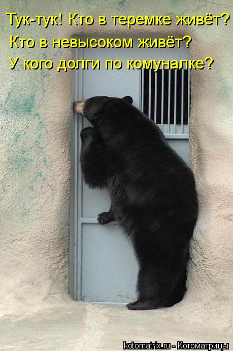 Тук-тук! Кто в теремке живёт? Кто в невысоком живёт? У кого долги по комуналке?... Котоматрица: Тук-тук! Кто в теремке живёт? Кто в невысоком живёт? У кого долги по комуналке?