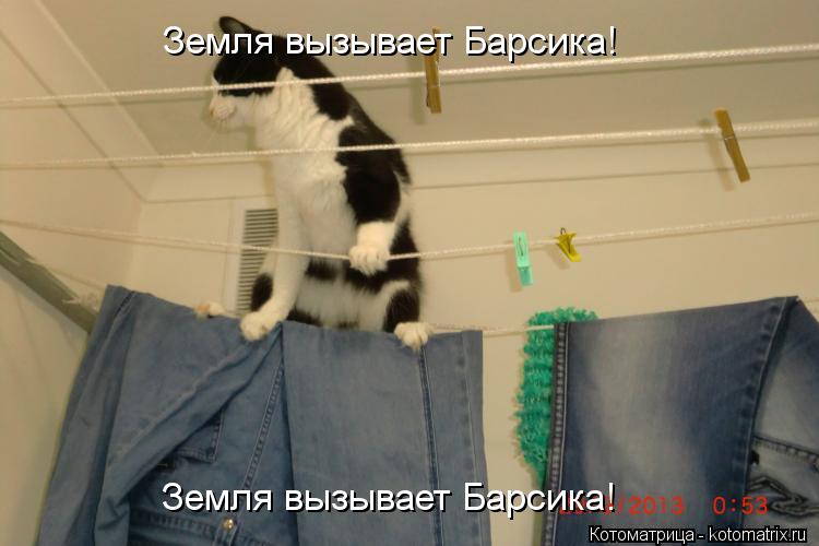 Земля вызывает Барсика! Земля вызывает Барсика!... Котоматрица: Земля вызывает Барсика! Земля вызывает Барсика!
