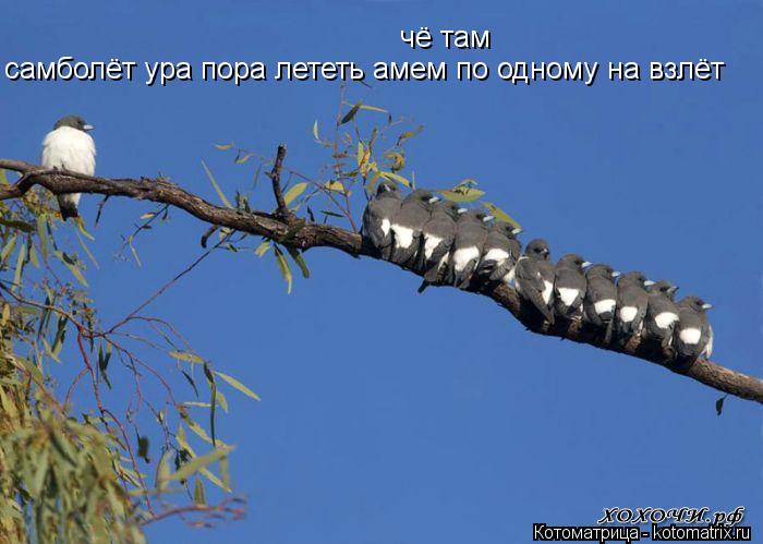 чё там чё там самболёт ура пора лететь амем по одному на взлёт самболёт ура пора лететь амем по одном... Котоматрица: чё там чё там самболёт ура пора лететь амем по одному на взлёт самболёт ура пора лететь амем по одному на взлёт