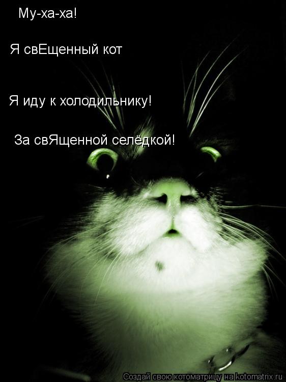 Котоматрица: Му-ха-ха! Я свЕщенный кот Я иду к холодильнику! За свЯщенной селёдкой!
