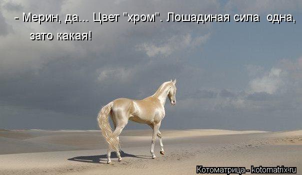 зато какая! - Мерин, да... Цвет "хром". Лошадиная сила одна,... Котоматрица: зато какая! - Мерин, да... Цвет "хром". Лошадиная сила одна,