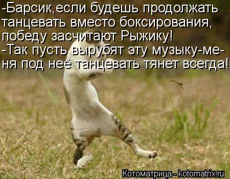 -Барсик,если будешь продолжать танцевать вместо боксирования, победу засчитают Рыжику! -Так пусть выр... Котоматрица: -Барсик,если будешь продолжать танцевать вместо боксирования, победу засчитают Рыжику! -Так пусть вырубят эту музыку-ме- ня под неё танцева