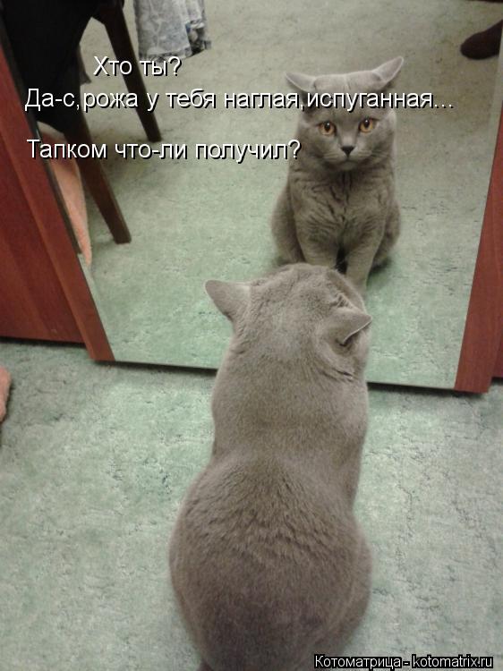 Хто ты? Да-с,рожа у тебя наглая,испуганная... Тапком что-ли получил?... Котоматрица: Хто ты? Да-с,рожа у тебя наглая,испуганная... Тапком что-ли получил?
