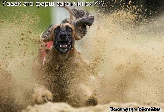 Кааак это фарш закончился???... Котоматрица: Кааак это фарш закончился???