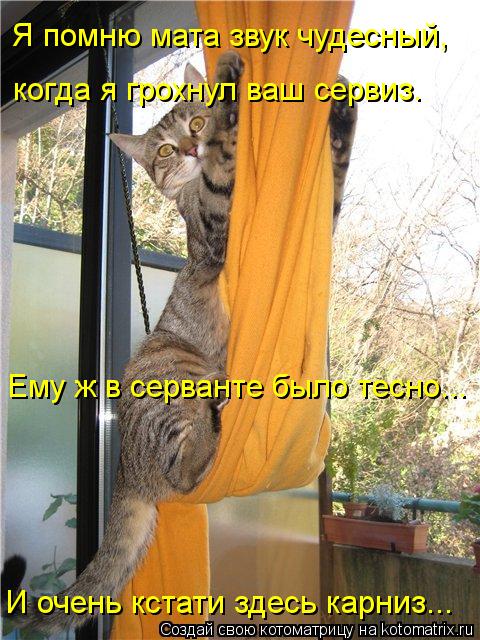 Я помню мата звук чудесный, когда я грохнул ваш сервиз. Ему ж в серванте было тесно... И очень кстат... Котоматрица: Я помню мата звук чудесный, когда я грохнул ваш сервиз. Ему ж в серванте было тесно... И очень кстати здесь карниз...
