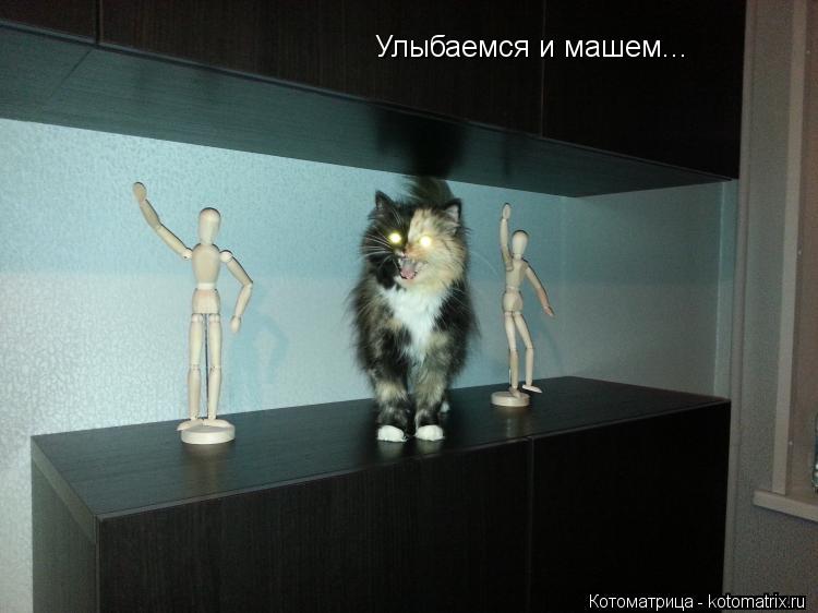Улыбаемся и машем...... Котоматрица: Улыбаемся и машем...