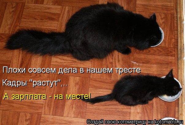 Плохи совсем дела в нашем тресте Кадры "растут",.. А зарплата - на месте!... Котоматрица: Плохи совсем дела в нашем тресте Кадры "растут",.. А зарплата - на месте!